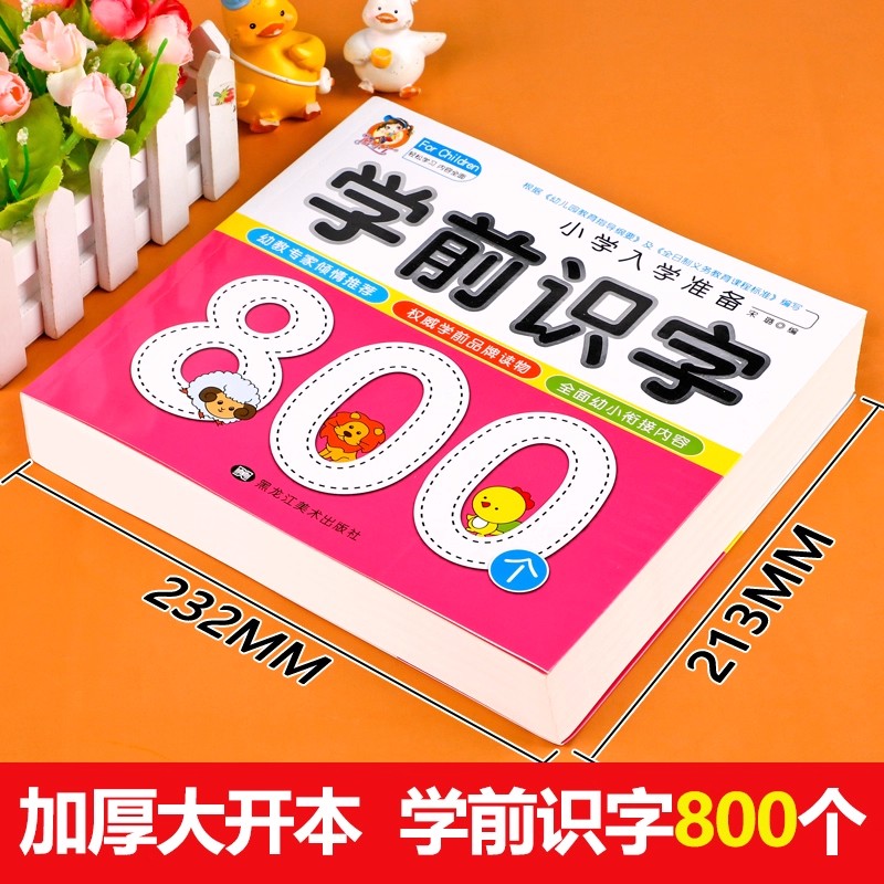 Preschool Literacy: 800 Chines - Kids Education In Us recension och pris