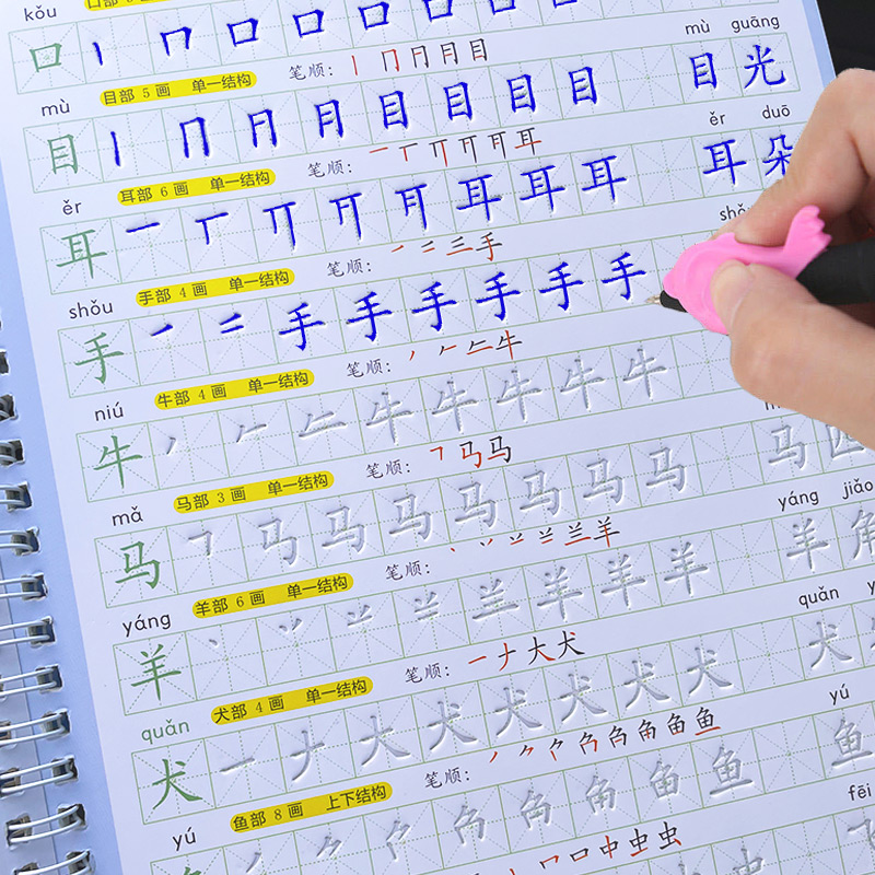 The Copybook Kids Book Learnin - Kids Education In Us recension och pris